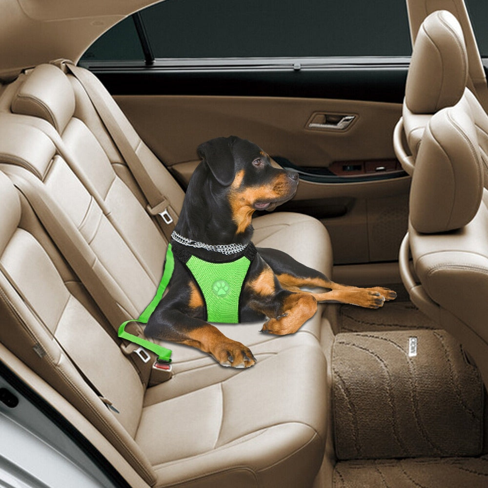 Safety Dog Car Seat Belt Pet Dog Harness and Leash