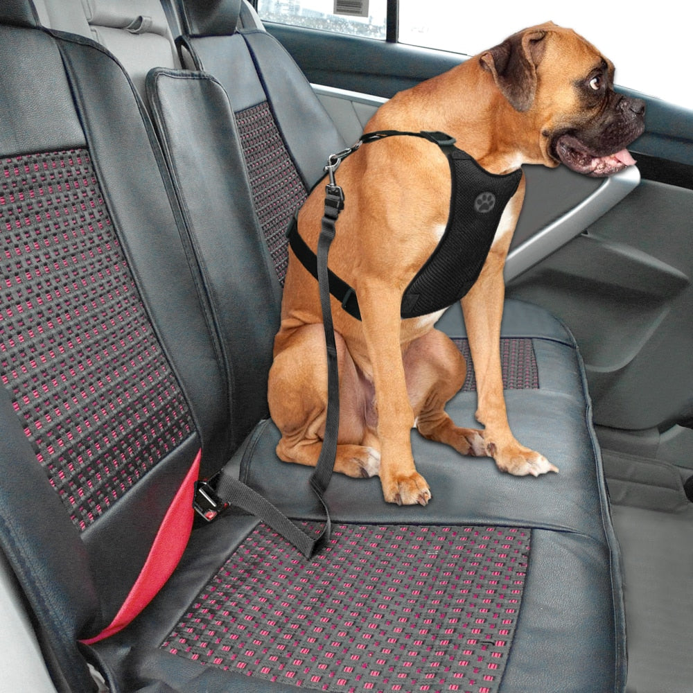 Safety Dog Car Seat Belt Pet Dog Harness and Leash