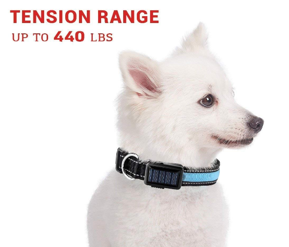 USB and Solar Charge Reflective Led Dog Collar