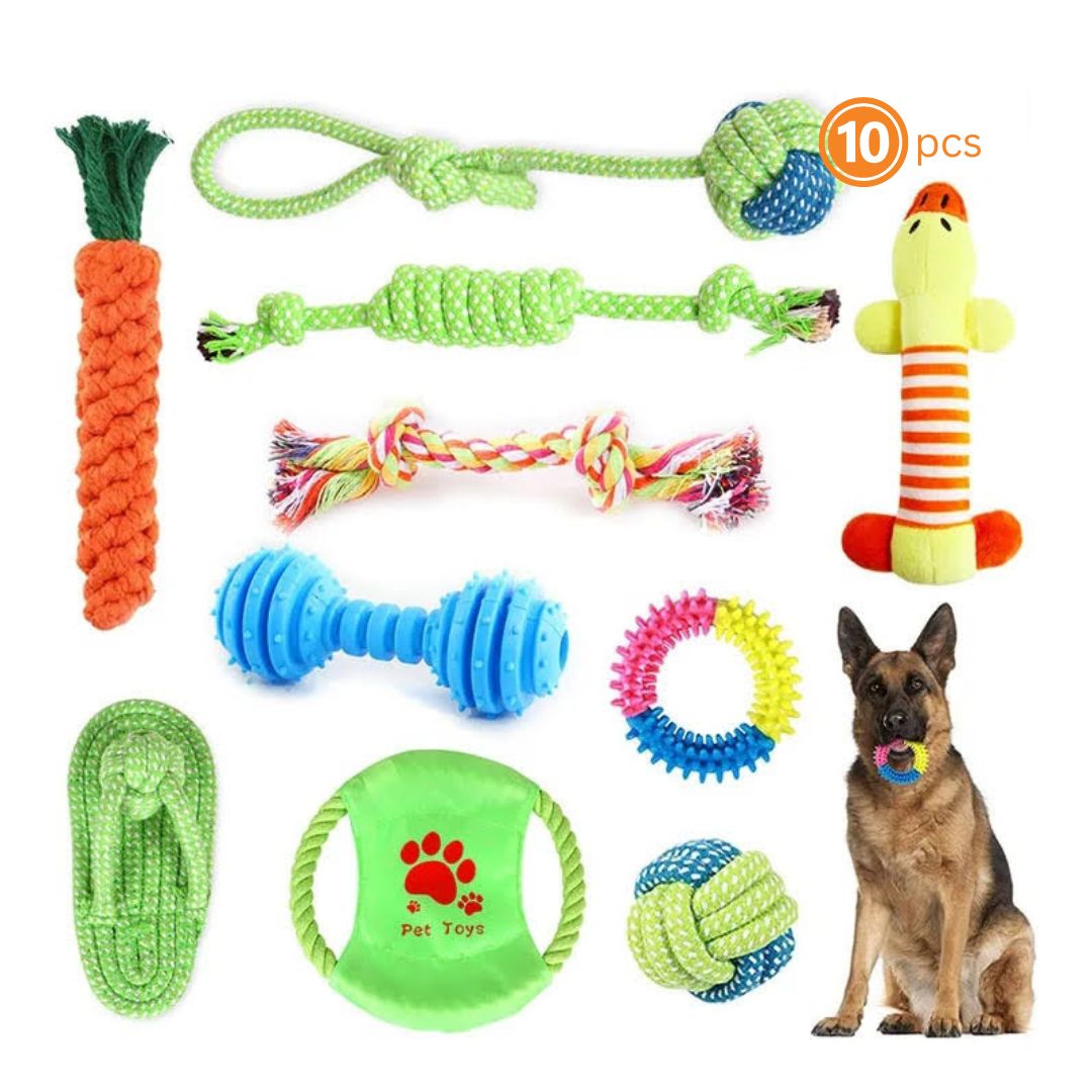 Fast Shipping 10 pcs Bite-Resistant molar Dog Toys